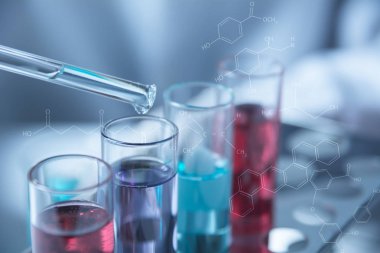 Analitik, tıbbi, ilaç ve bilimsel araştırma konsepti için sıvı ile cam laboratuvar kimyasal test tüpleri ile araştırmacı.