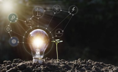 Enerji tasarruflu ampul ve ağaç doğa arka plan enerji ve yaratıcı kavramı üzerinde gelişen.