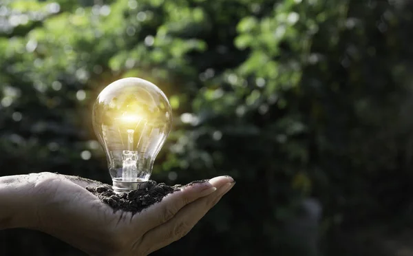 Hand holding a light bulb. Energy saving light bulb. Innovation and creative concept.