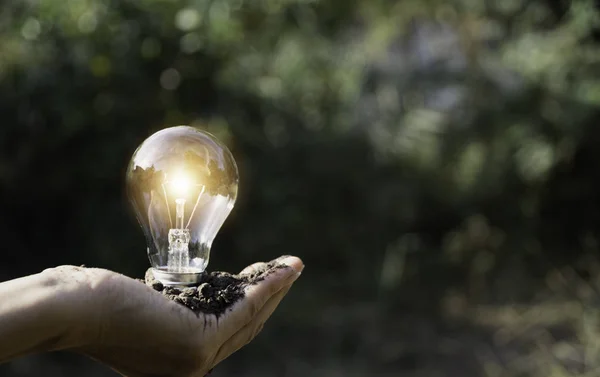 Main Tenant Une Ampoule Ampoule Économie Énergie Innovation Concept Créatif — Photo