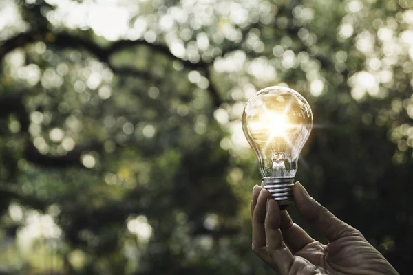 Hand Holding Light Bulb Innovation Creative Concept — Stock Photo, Image