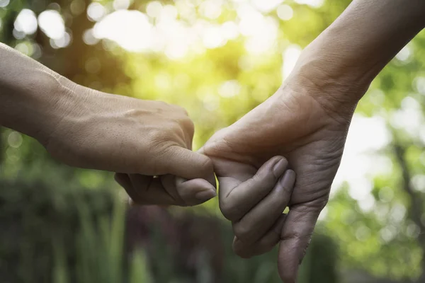 Hand to pinky swear. Happy friendship pinky promise together for — Stock Photo, Image
