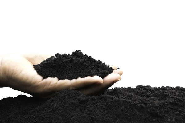 Hand of male holding soil in the hands for planting isolated on — Stock Photo, Image