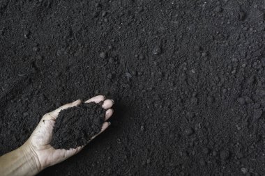 Erkek, ekme konsepti için toprağı elinde tutuyor..