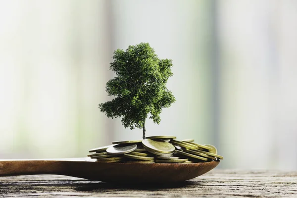 Human hands holding green small plant with coins for business an