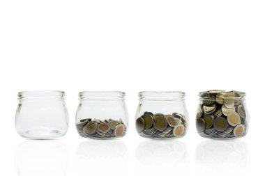 Sikke ve şişe bitki, İş yatırım büyüme ve tasarruf