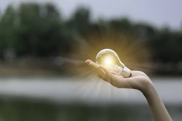 Инновации и творческая концепция руки держать лампочку и ко — стоковое фото