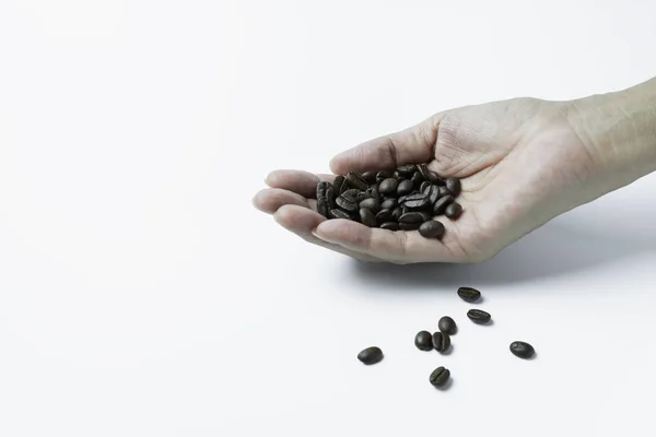 Mano sosteniendo granos de café aislados sobre fondo blanco y copia — Foto de Stock