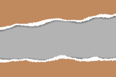 Yırtık kağıt. Vektör yırtık kağıt. Kağıt backg yırtılmış