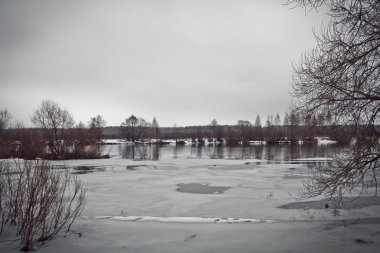 Soğuk kış gününde nehir kıyısında. Orman arka plan üzerinde.
