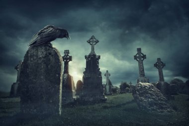 Spooky old graveyard and a bird at night clipart