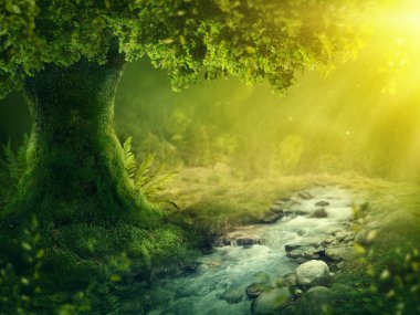 Güneş ışığı ile derin sihirli orman