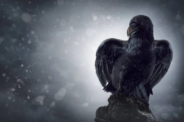 Черная Ворона Сидит Надгробии — стоковое фото