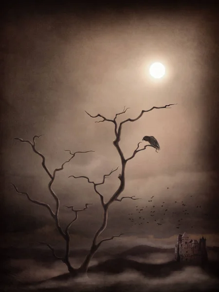 Black Raven Sitting Bare Tree — Stock Photo, Image