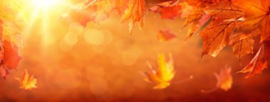 Düşen yapraklarla soyut sonbahar arkaplanı