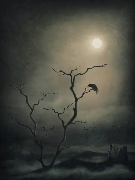 Black Raven Sitting Bare Tree — Stock Photo, Image