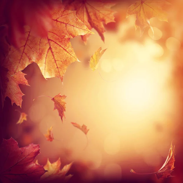 Abstrakter Herbsthintergrund Mit Fallenden Blättern — Stockfoto