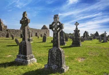 Clonmacnoise Katedrali ile tipik haçlar ve mezar. Manastır kalıntıları. İrlanda