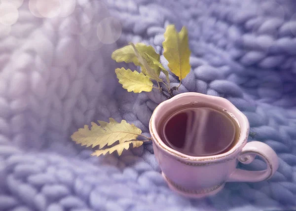 Rosa Tasse Tee Und Wolldecke — Stockfoto