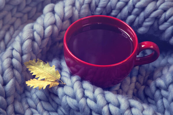 Красная чашка чая и шерстяное одеяло
