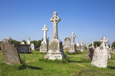 Clonmacnoise Katedrali ile tipik haçlar ve mezar. Manastır kalıntıları. İrlanda