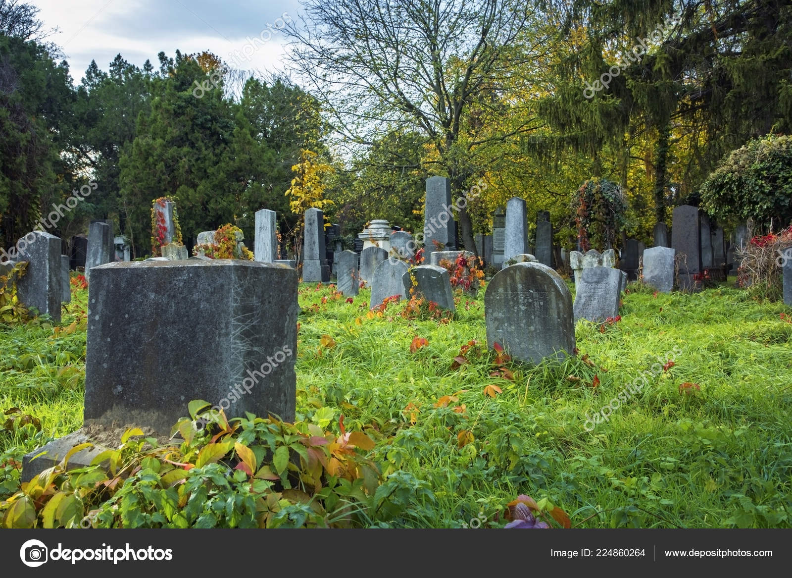Old Jewish Cemetery Vienna — Stock Photo © egal 224860264