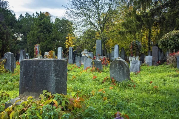 Old Jewish Cemetery Vienna — Stock Photo, Image