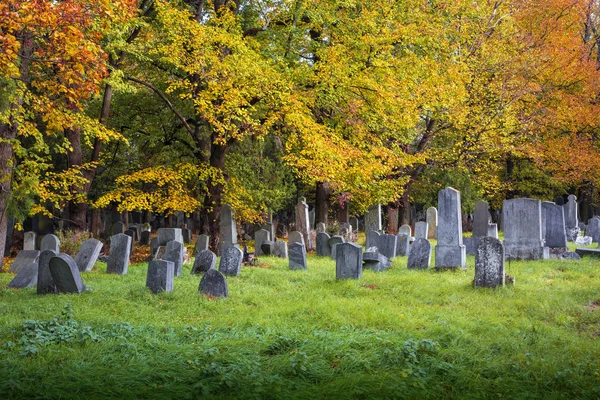 Gamla Judiska Kyrkogården Wien — Stockfoto