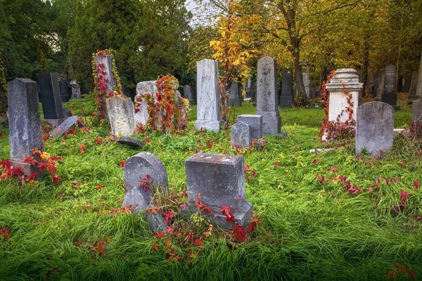 Old Jewish Cemetery Vienna — Stock Photo, Image