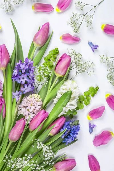 Pastel Gekleurde Bloem Een Witte Achtergrond — Stockfoto