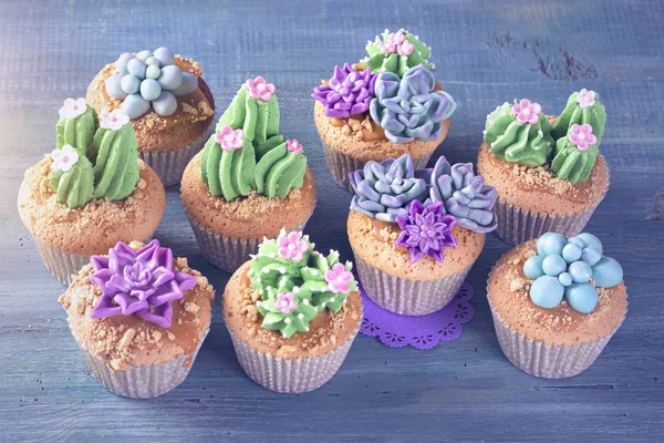 Cactus Cupcakes Voor Kinderen Partij — Stockfoto