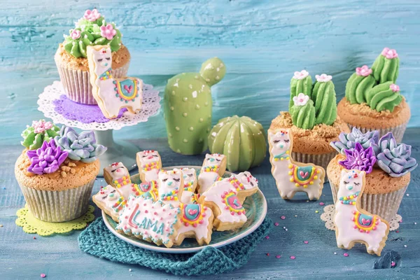 Cactus Llama Sweets Children Party — Stock Photo, Image