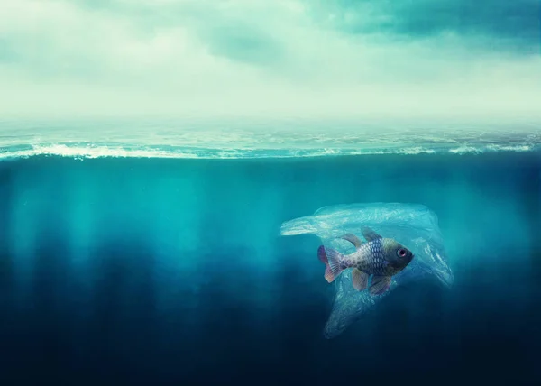 Sac Plastique Avec Poisson Dans Océan Concept Pollution — Photo