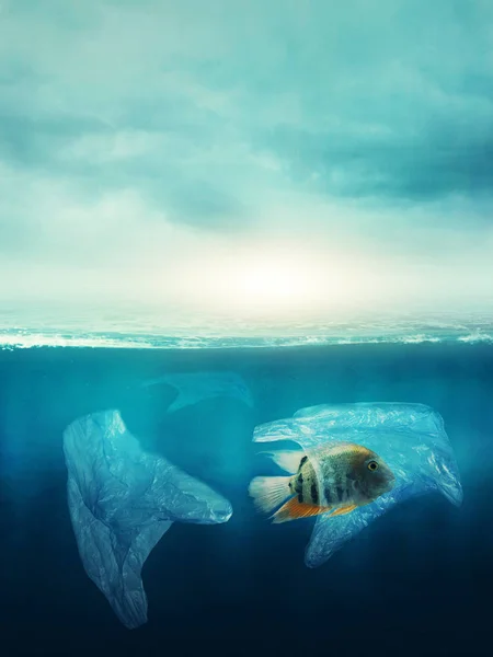 Plastik Tas Dengan Ikan Laut Konsep Polusi — Stok Foto