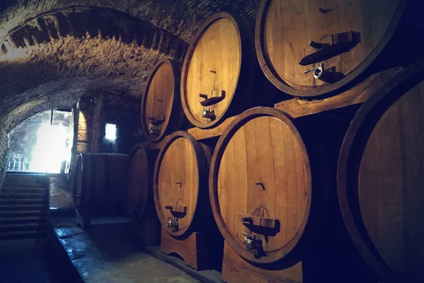 Winery cellar — Stok fotoğraf