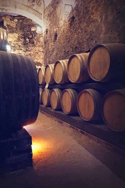 Winery cellar — Stok fotoğraf