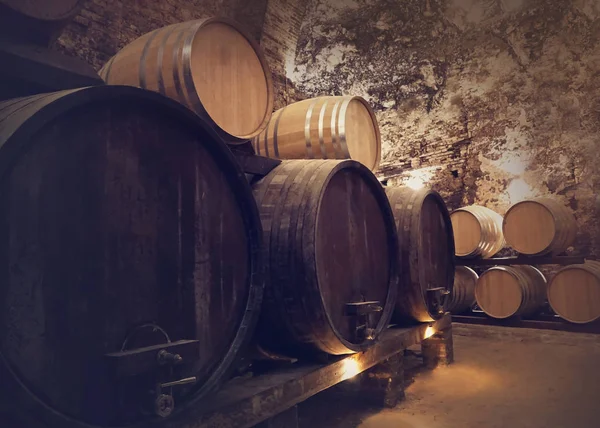 Winery cellar — Stok fotoğraf