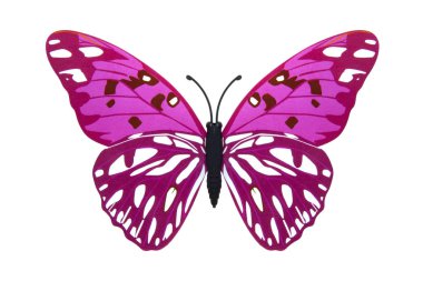 güzel pembe kelebek