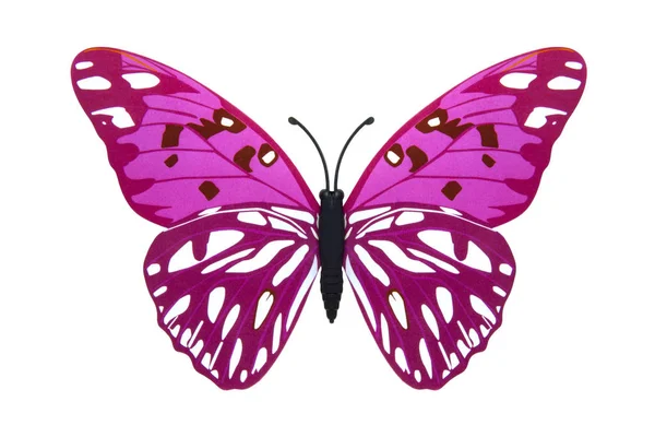 Beautiful pink butterfly — Stock Photo, Image