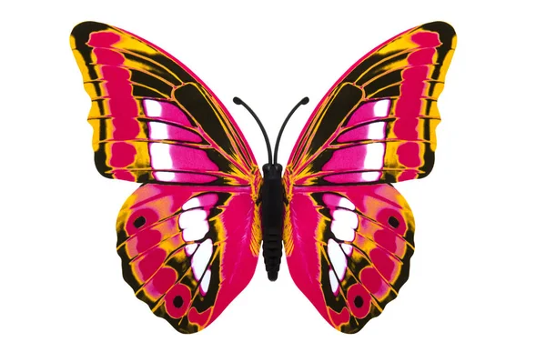 Красивая Цветная Бабочка Изолирована Над Белым — стоковое фото