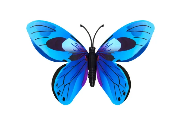 Borboleta Cor Azul Bonito Isolado Sobre Branco — Fotografia de Stock