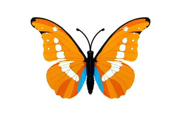 Красивый Оранжевый Цвет Бабочки Изолированы Над Белым — стоковое фото