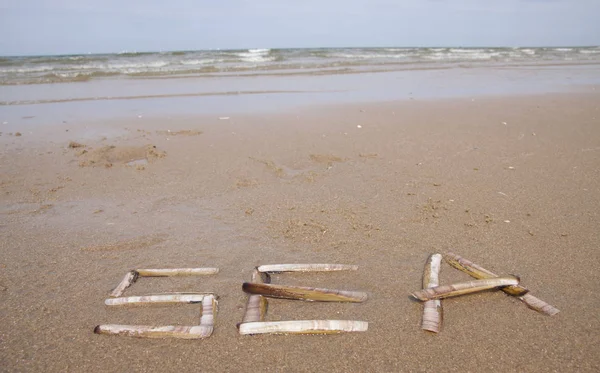 海在沙子做 贝壳的词 — 图库照片