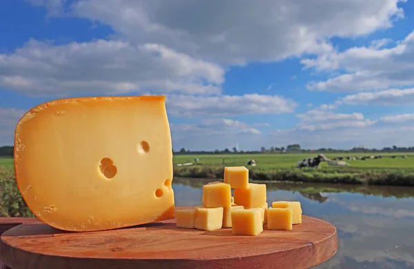 Nekler Arka Plan Üzerinde Ahşap Plaka Üzerinde Hollanda Peynir — Stok fotoğraf