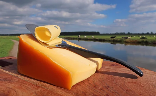 Fromage Hollandais Sur Assiette Bois Avec Des Vaches Sur Fond — Photo