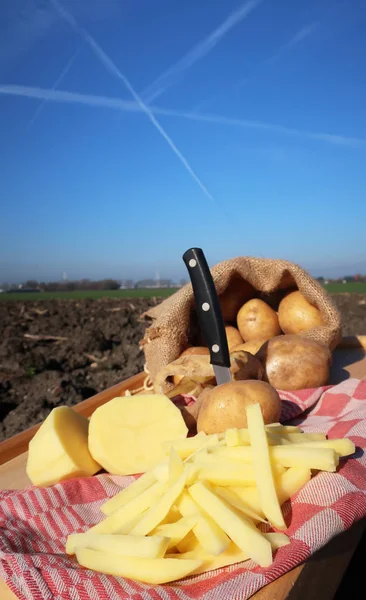 Batatas fritas em fatias frescas — Fotografia de Stock