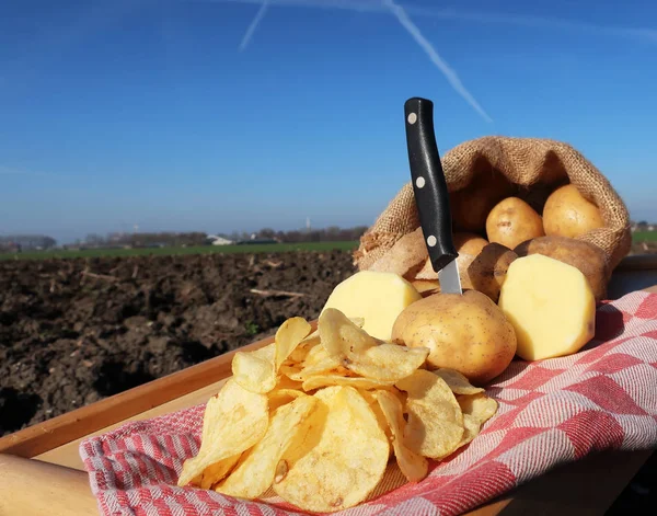 Bio-Kartoffelchips — Stockfoto