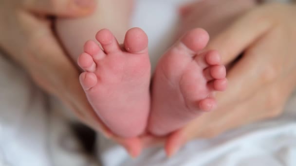 Pies de bebé en manos de madre. Mamá y su hijo. Concepto de familia feliz. — Vídeos de Stock