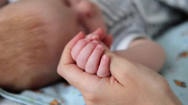 Söt sovande nyfött barn innehar mor finger — Stockvideo