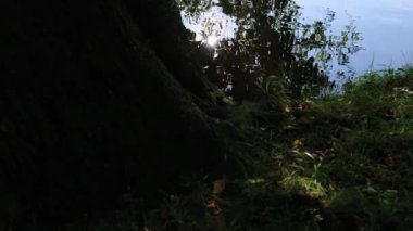 Güzel bir şehir parkı gölette
